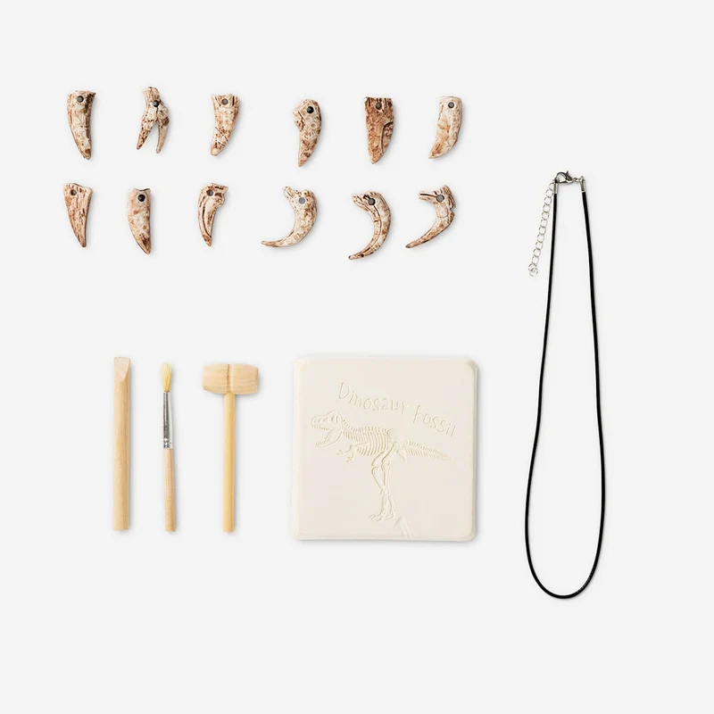 Excavation kit - Dinosaur teeth