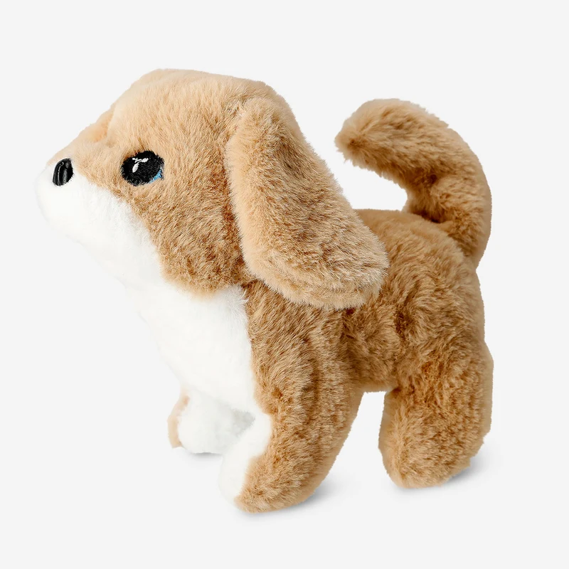 Walking dog