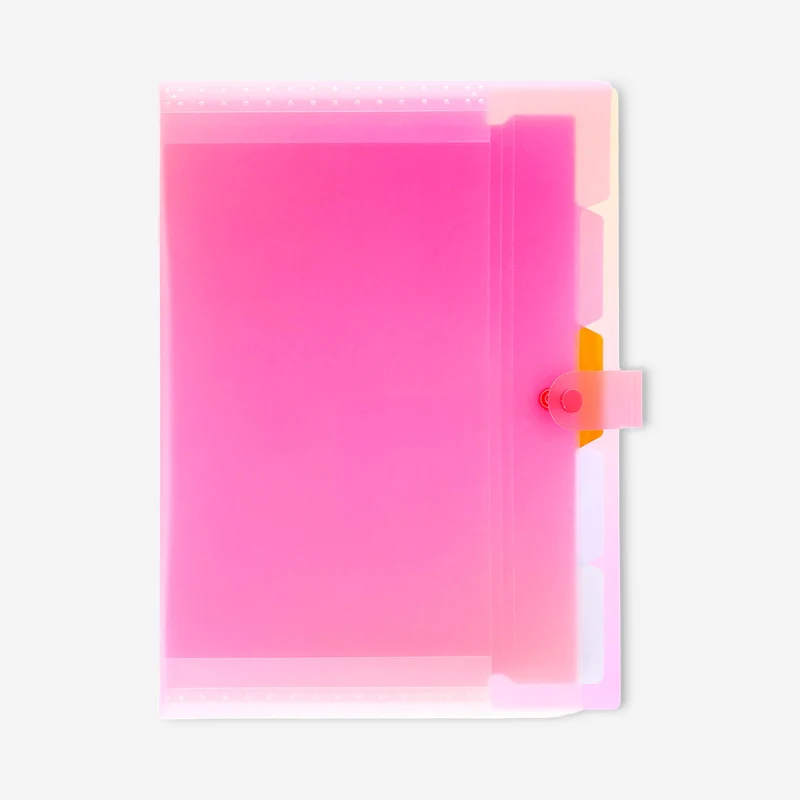 A4 multi coloured document organiser with tab dividers