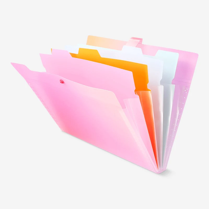 A4 multi coloured document organiser with tab dividers