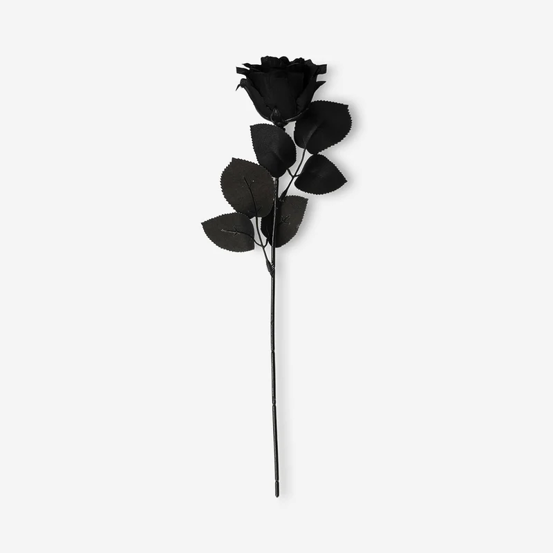 Decorative flower - Black rose