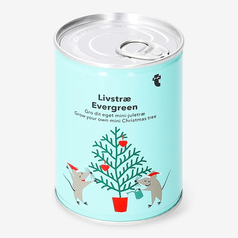 Grow your own Christmas tree