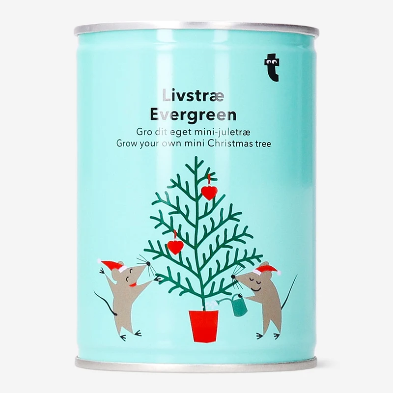 Grow your own Christmas tree