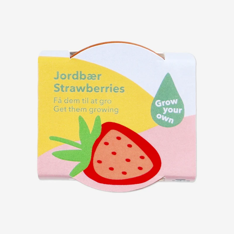 Grow kit - Strawberries