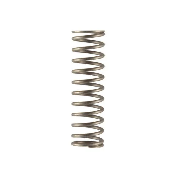 Molla per scaldabagno Junkers Bosch 8704603067 ricambio originale