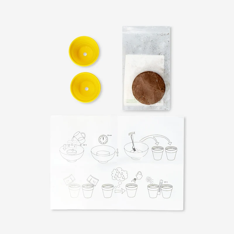 Grow kit - Strawberry and spearmint