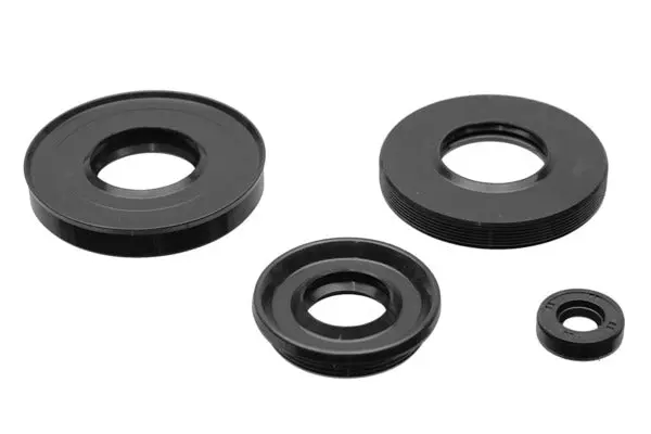 Anello tenuta 42.4x72x10/12 113BH06 Universale