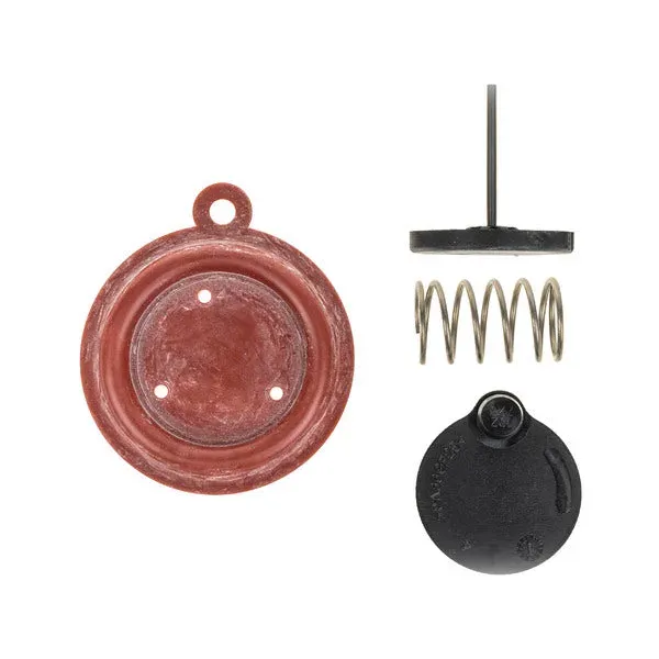 Membrana per scaldabagno Vaillant mag mini 11 115300