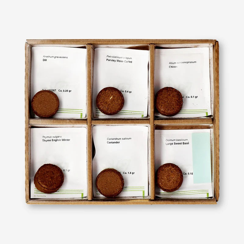 Herb garden grow kit - Chives, coriander, dill, parsley, basil and thyme