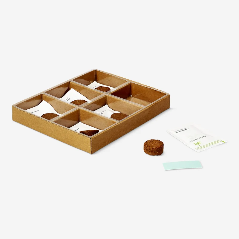 Herb garden grow kit - Chives, coriander, dill, parsley, basil and thyme