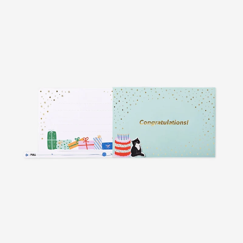 Birthday card - Cat with presents and pull out feature