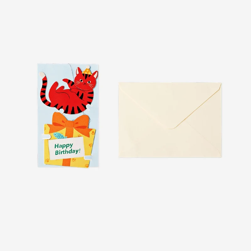 Birthday card - Cat with present