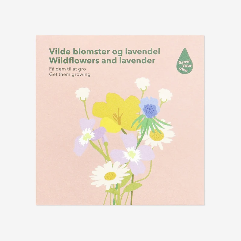 Seed pack - Wildflowers and lavender
