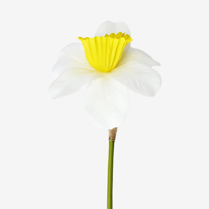 Decorative daffodil flower - 30 cm