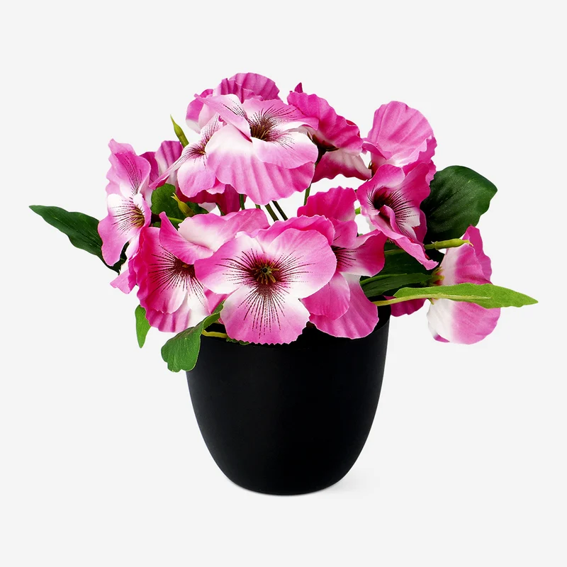 Decorative plant with flowers - 20 cm
