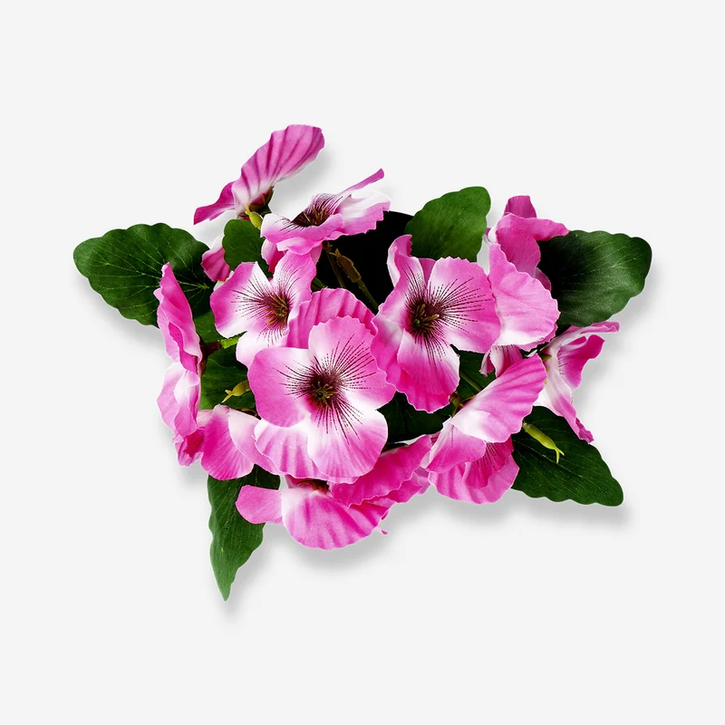 Decorative plant with flowers - 20 cm