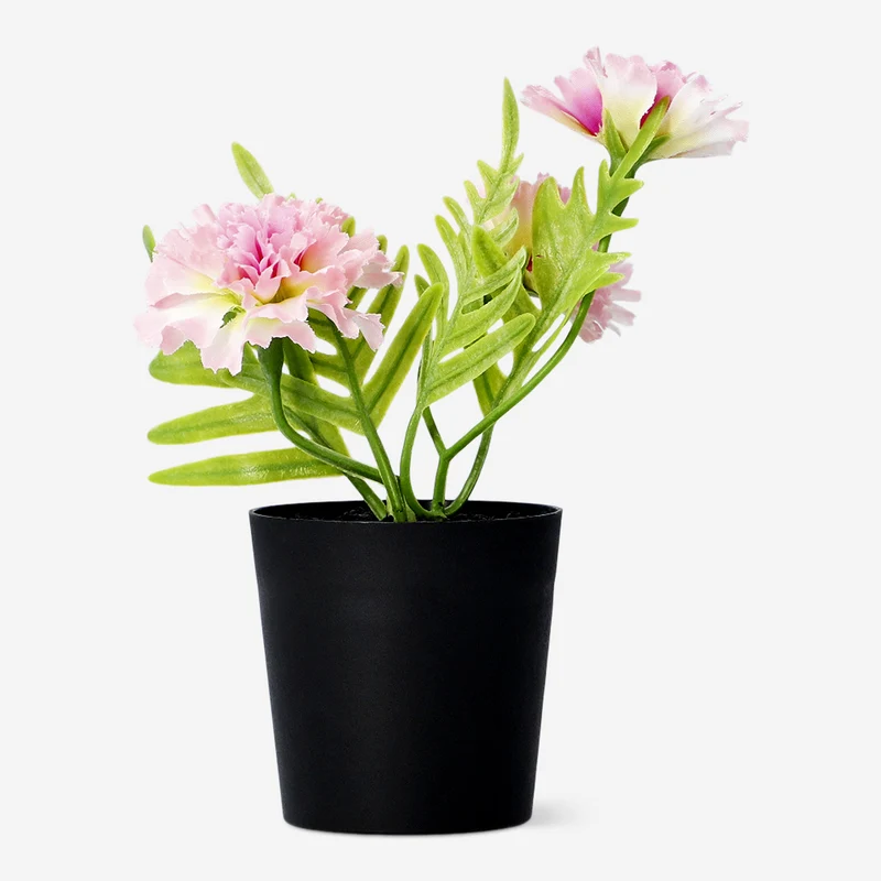 Decorative plant with pink flowers - 15 cm