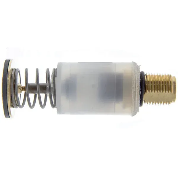 Elettromagnete per scaldabagno Vaillant 170255 ricambio originale