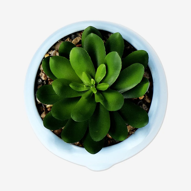 Faux succulent in blue ceramic pot