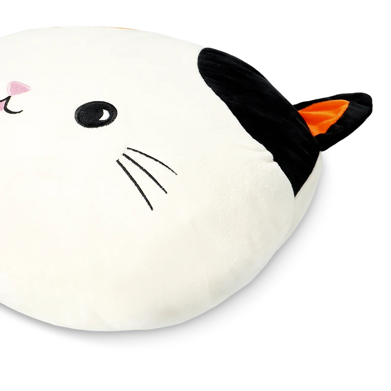 Cat cushion with blanket inside