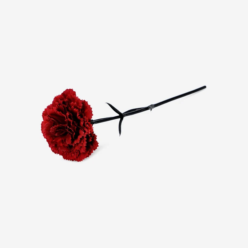 Decorative flower - Carnation