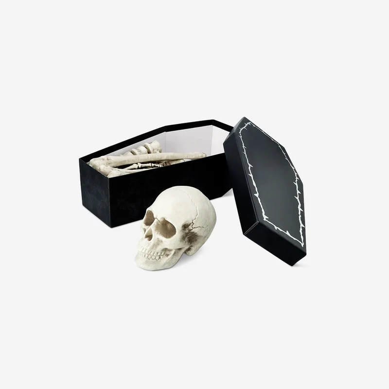 Skeleton bone set
