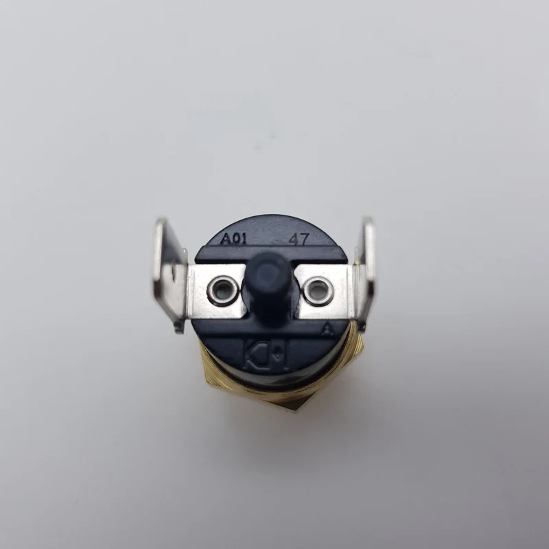 Termostato di sicurezza 165° per macchina da caffè Didiesse frog fr020