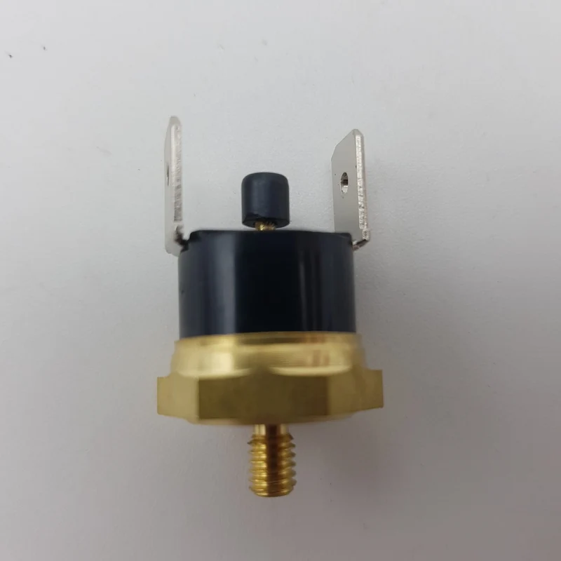 Termostato di sicurezza 165° per macchina da caffè Didiesse frog fr020
