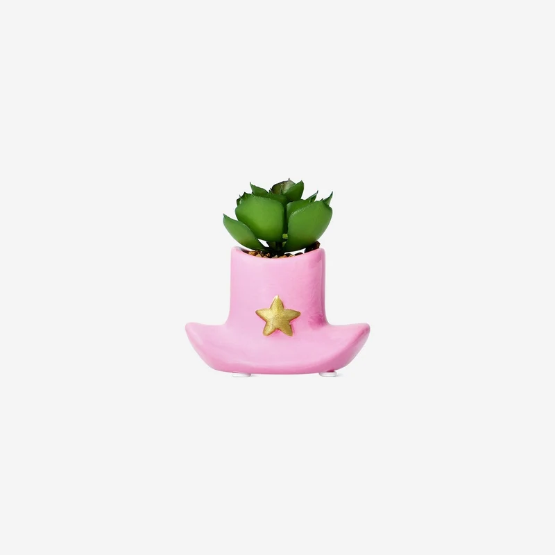 Succulent cowboy hat plant pot