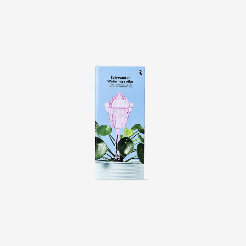 Pink cactus watering spike