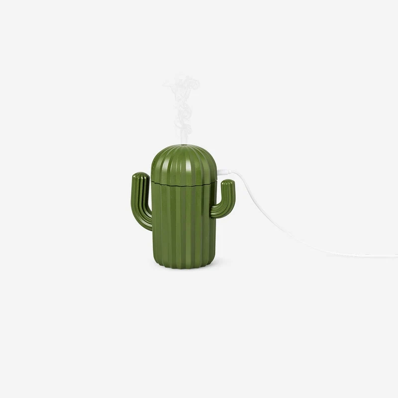Cactus room humidifier