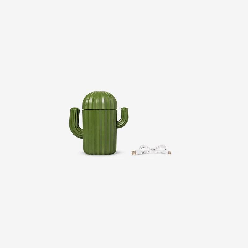Cactus room humidifier