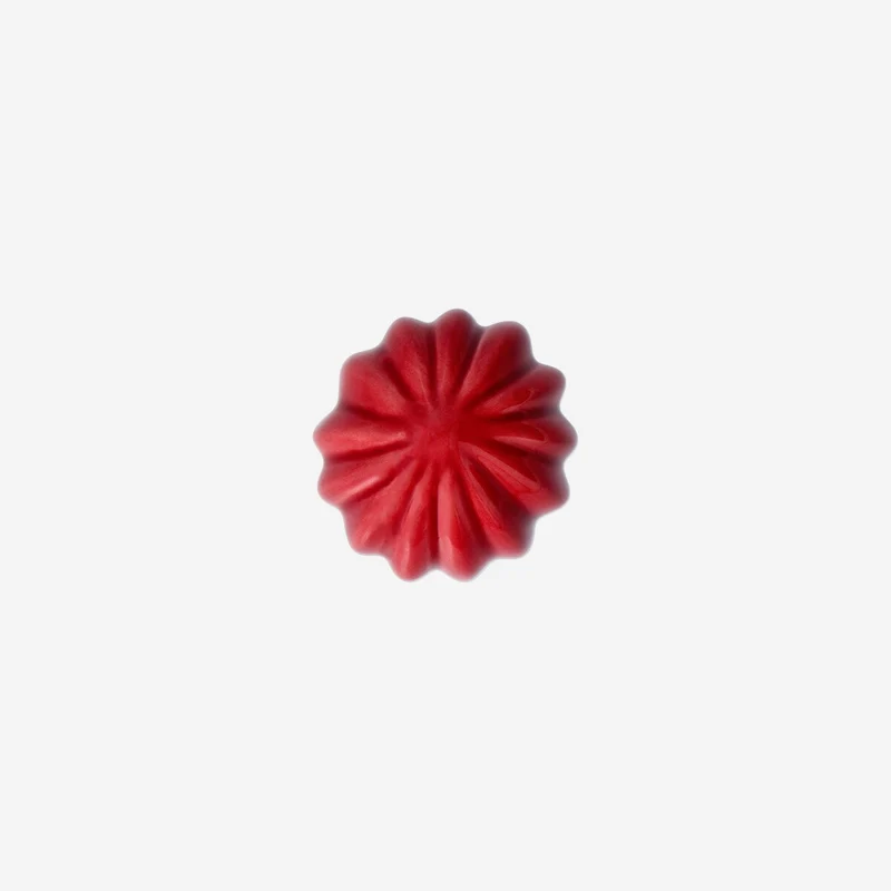Pink decorative cactus - 6 cm