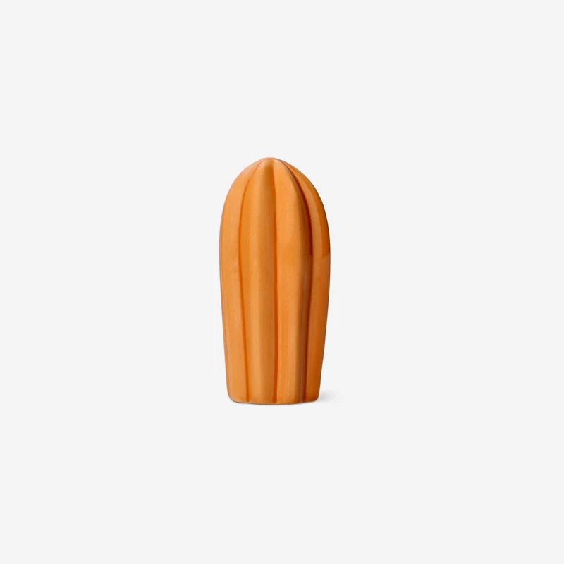 Orange decorative cactus - 10 cm