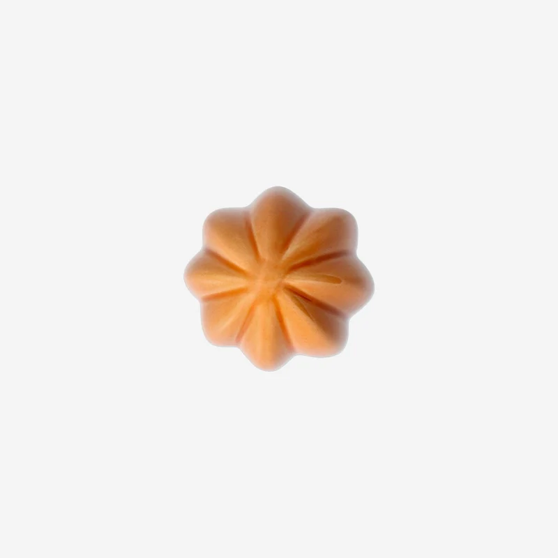 Orange decorative cactus - 10 cm