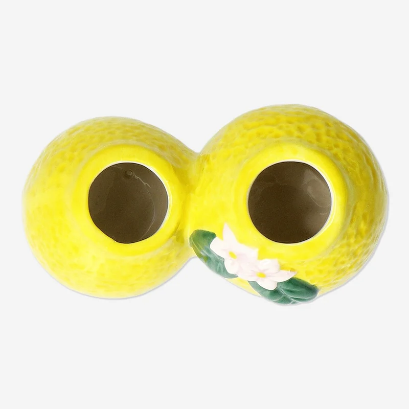 2 in 1 lemon vase