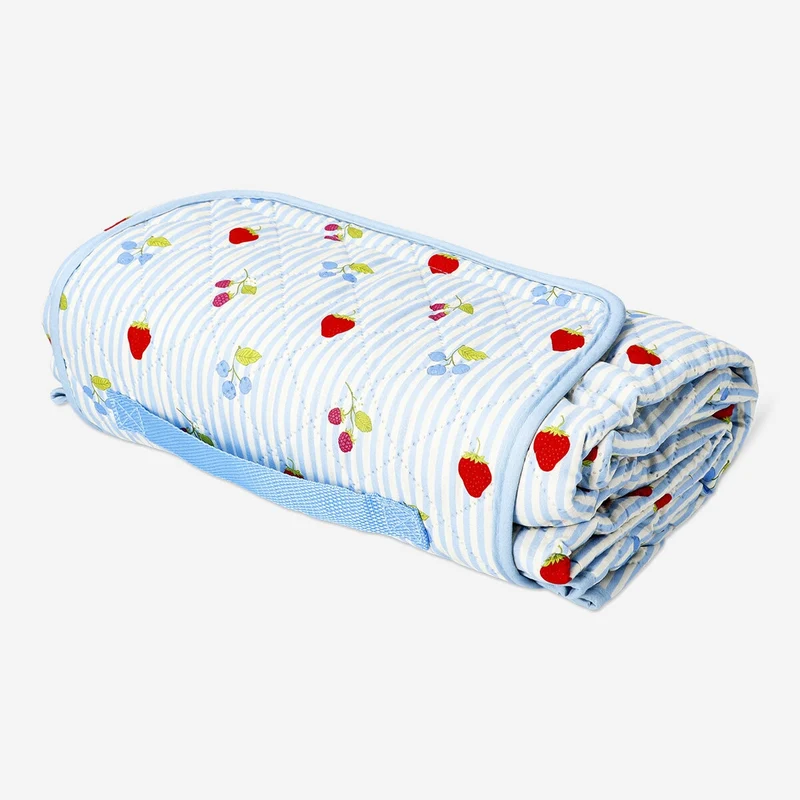 Picnic blanket with berries