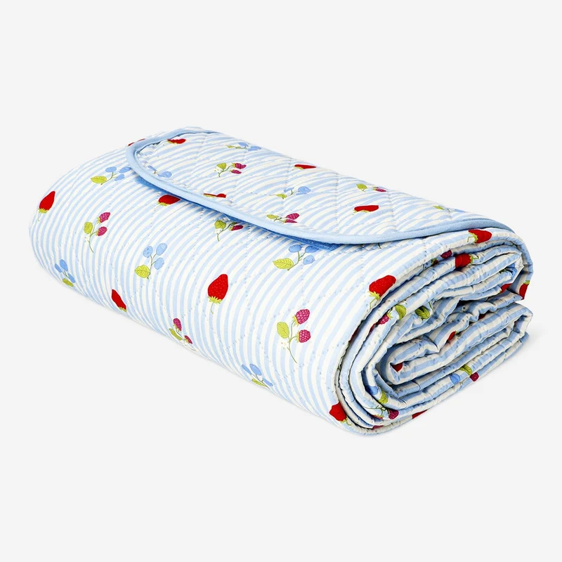 Picnic blanket with berries