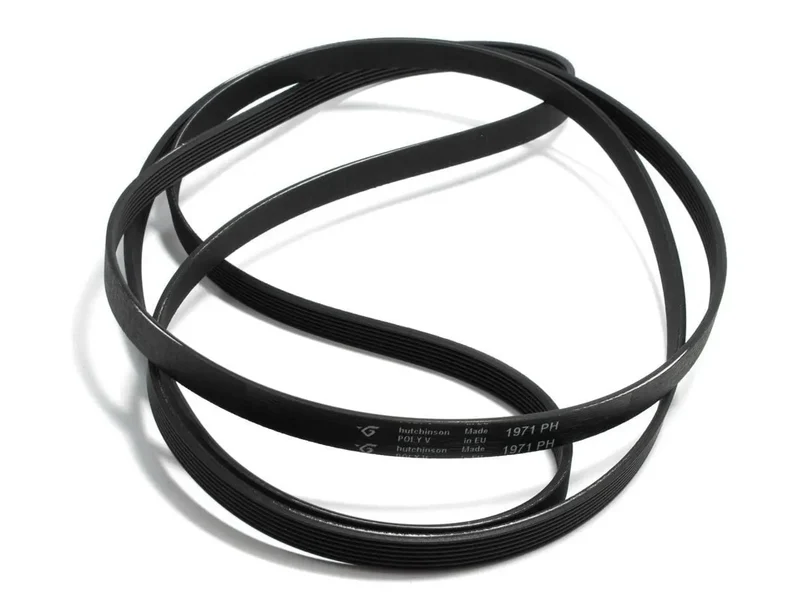 Cinghia per asciugatrice Rex electrolux 1971h7 poly v 1366033007 140056254018