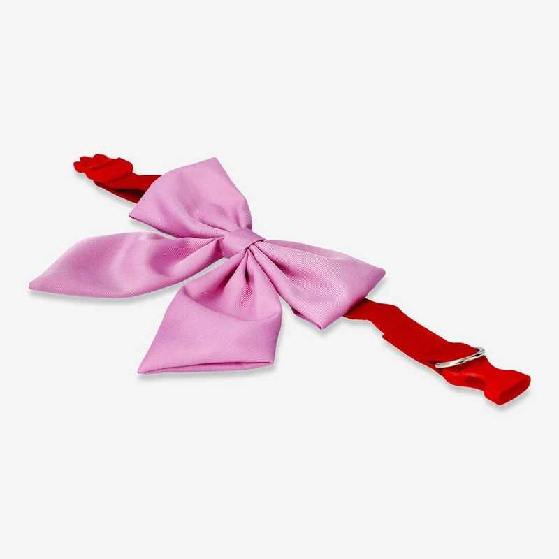 Adjustable pet collar with bow