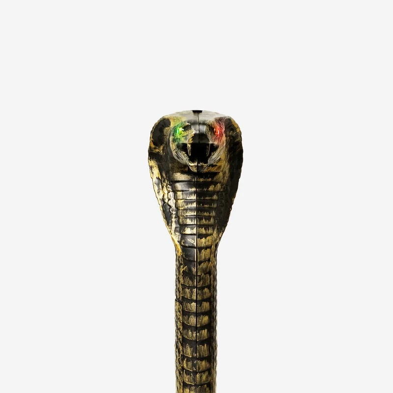Steaming sceptre with light