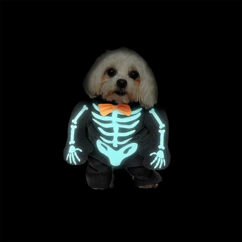 Pet costume - Glow in the dark skeleton