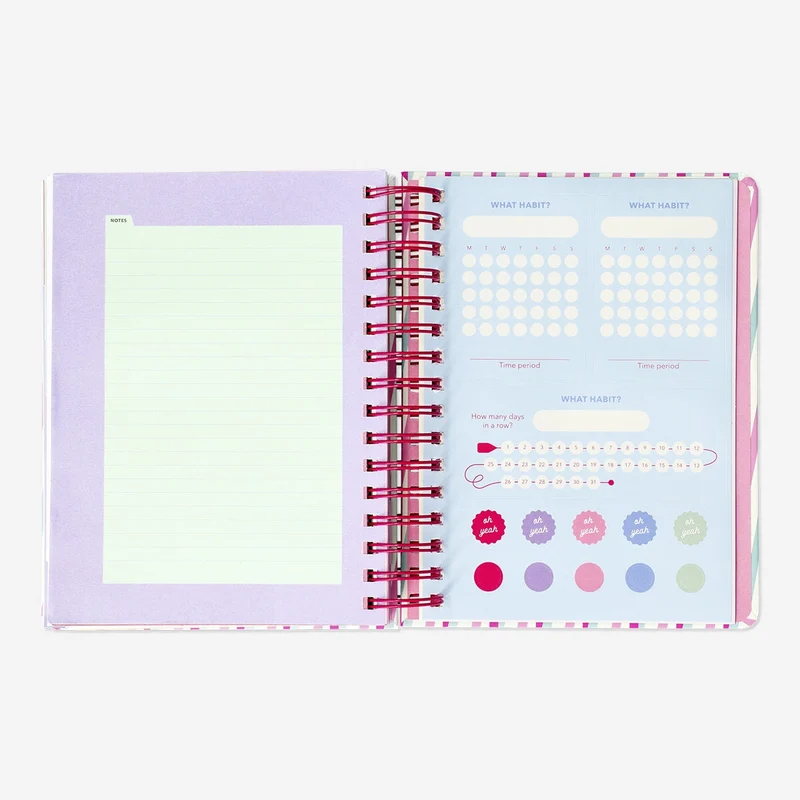 Striped study planner. English