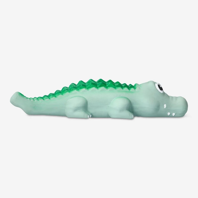 Pet chew toy