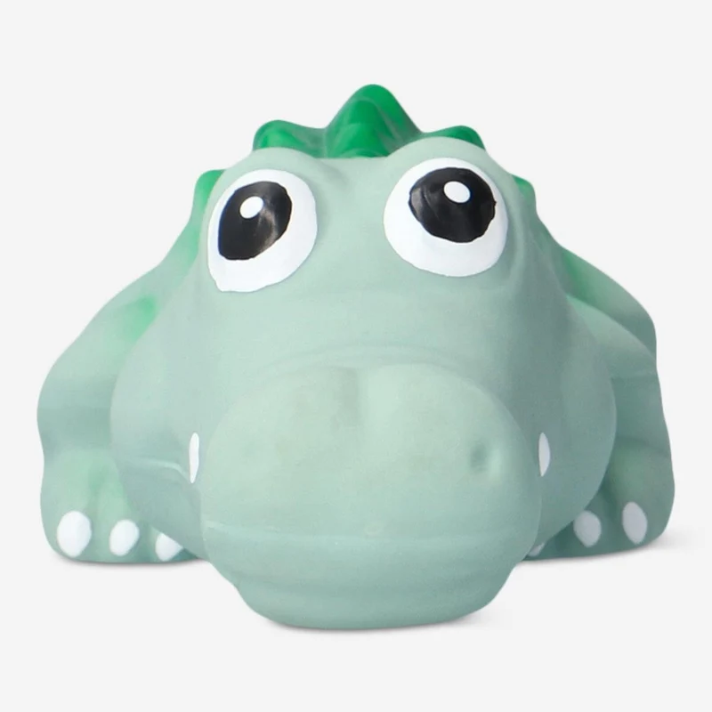 Pet chew toy
