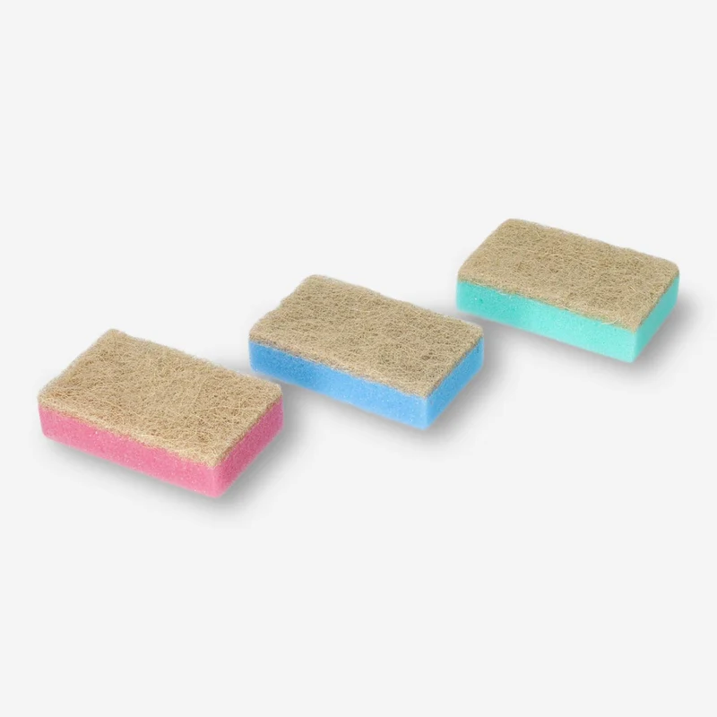 Sponges