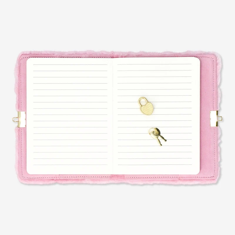Diary with lock