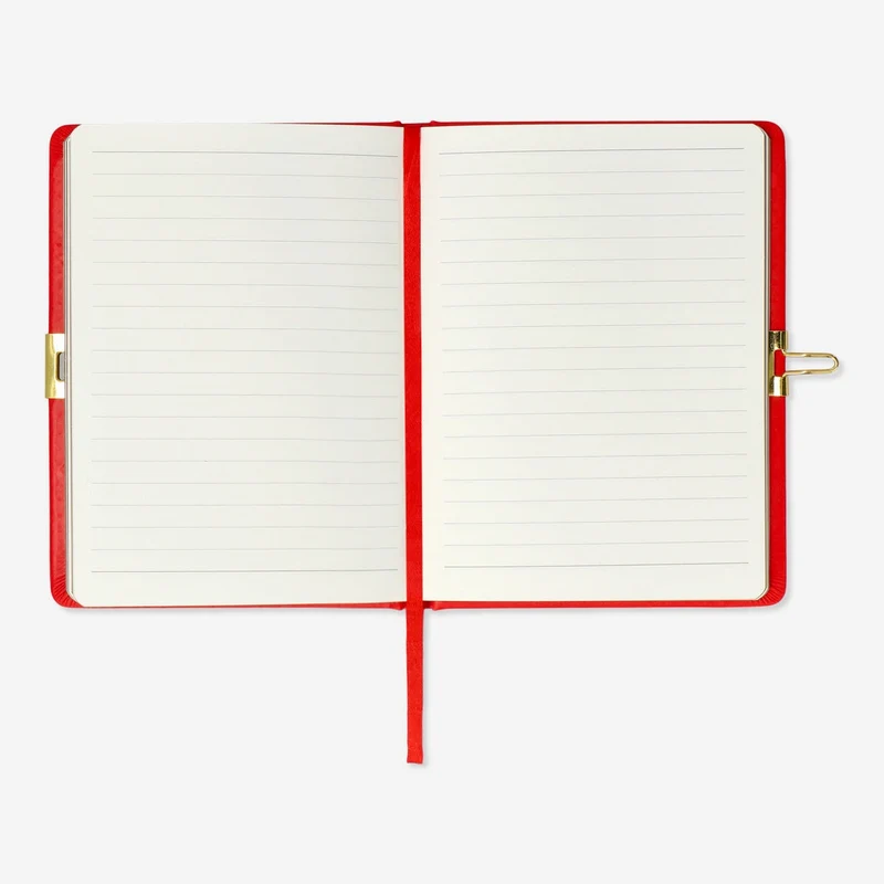 Diary with lock