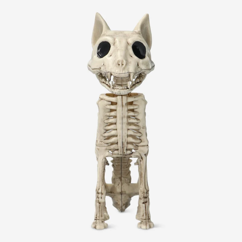 Skeleton cat
