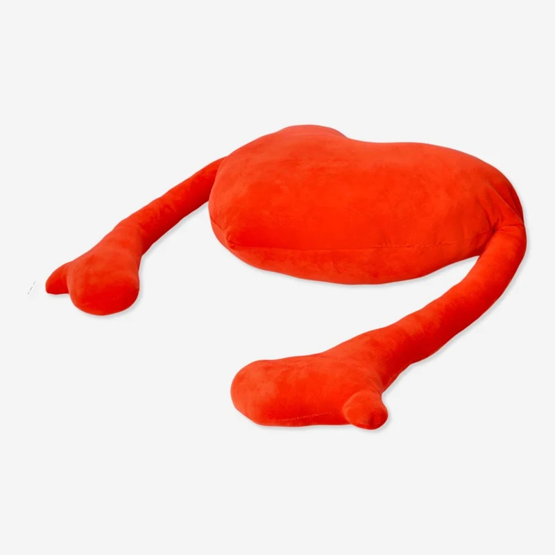 Cuddly cushion